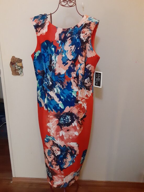 Julian Taylor New York Dresses & Skirts - Julian TaylorNewYork sheath sleeveless red with blue floral dress 14 silhouette